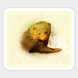 Mongoose Sticker